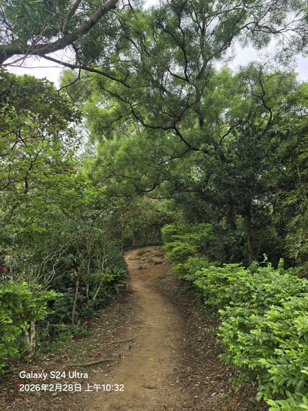 2026-02-28微笑山線：【大棟山系】405高地段3008690