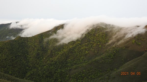 0405陽明山再見雲瀑，今年以來最滿意的一次1335470