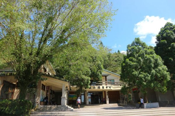 小百岳NO.22東眼山，因山形似躺著的少女  大眼睛向東而望之 絕美柳杉雲海 東眼山2297013