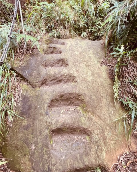 微笑山⛰️線-大棟-二格山-五分山-天上山-鳶山💎12條步道完成💙2836364