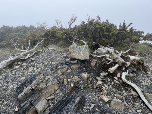 聖稜線I 2023_0524(D2-5) 凱蘭特崑山北峰2166265