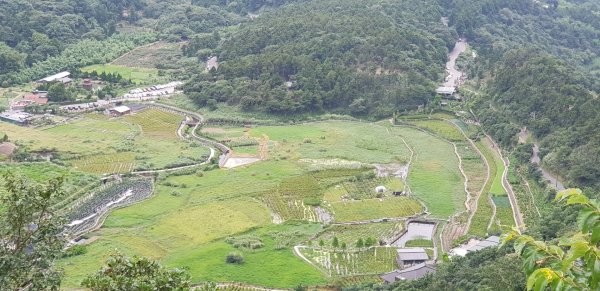 劍竹林步道-竹子湖頂湖環狀步道742583