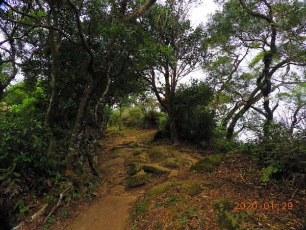 臺北市 文山 中埔山東峰817219