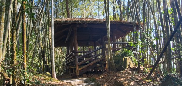 2025-01-30迷糊步道2704443