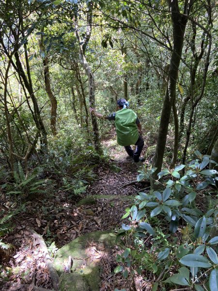 蓮包山、外鳥嘴山、那結山、貴妃山、水田林道O 型縱走1672841