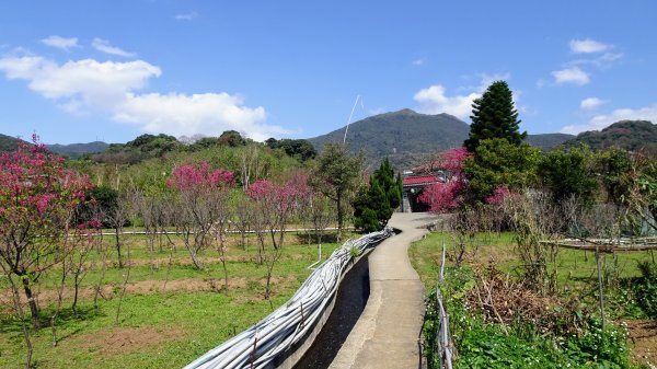 十八份拐圳步道2028072