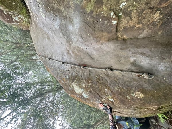 皇帝殿202603293035825