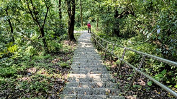 大尖山。走向2770869