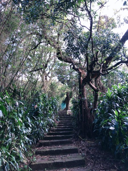 ~ 中 正 山 步 道 ~2782708