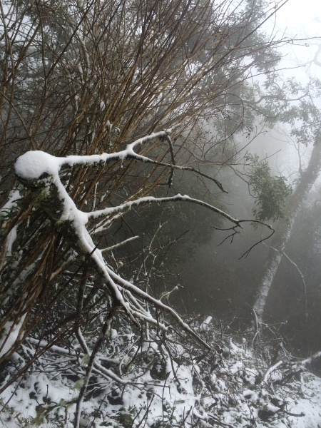 山岳之美 塔曼踏雪8424