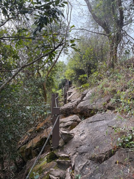 龍麟山步道（王爺崙2703647