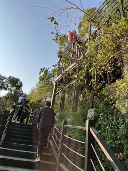 大坑9-1號步道2732237