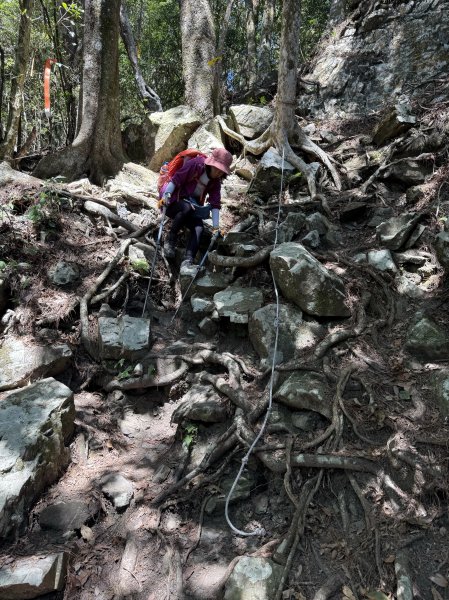 屋東縱走 202503012728993