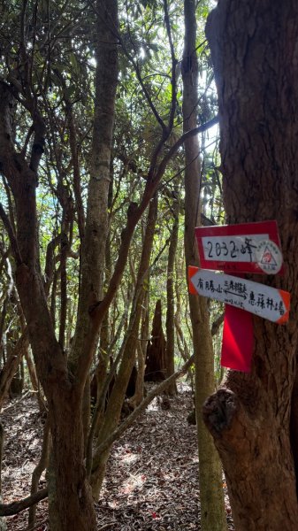 埔里六秀 《有勝山 2105m》2025 12/132961241