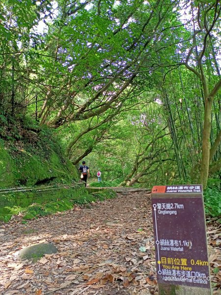 絹絲瀑布步道→冷擎步道→雞心崙→菁山吊橋→牛奶湖→冷水坑【走遍陽明山】2133260