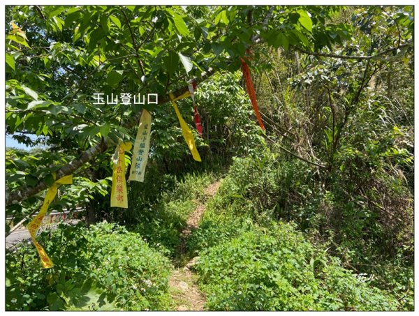 玉山前峰、玉山 (新竹、關西)2764222