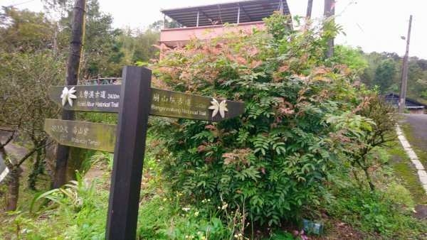 璀璨百年淡蘭古道～崩山坑古道、溪尾寮山、保城坑古道、虎豹潭步道O走1313430