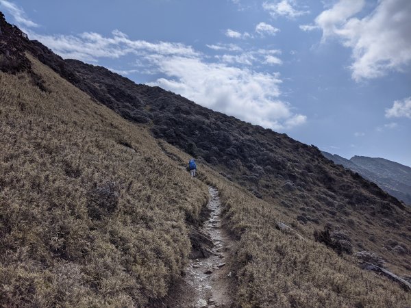 【南湖群峰】北一段，賞雪1295220