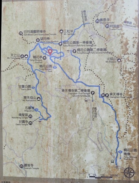 20250816_天上山系望月亭桐花段2863441