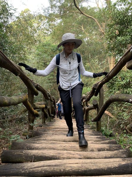 20251108台中頭嵙山-二嵙山2933359