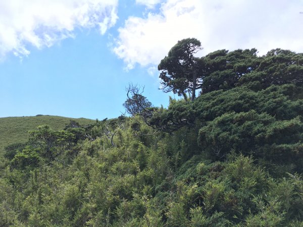 合歡北峰、石門山526688