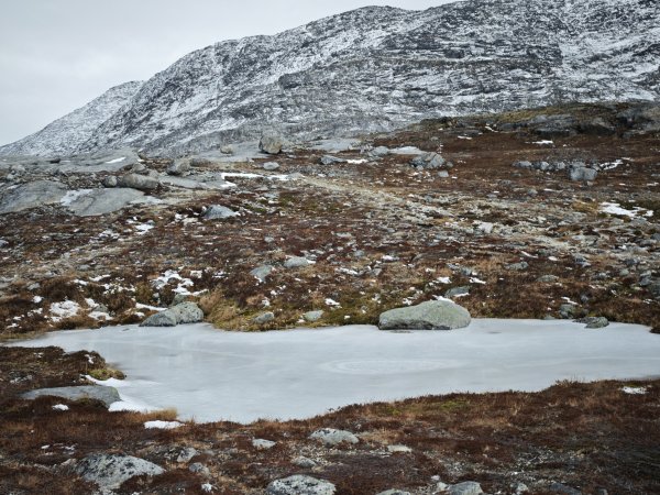 [紐約馬之行-45] 2025_1108 努克環狀步道 2/52951195