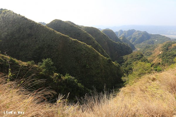 2021_0301 九九峰制高點1298938