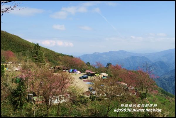 五峰山上人家白蘭部落櫻花開272483