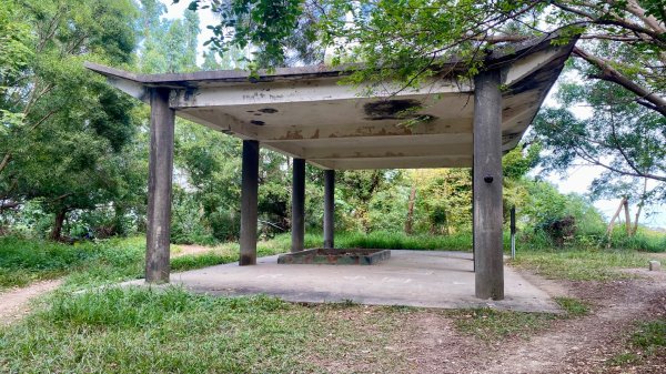 尚書林山步道(鳳凰山)2730914