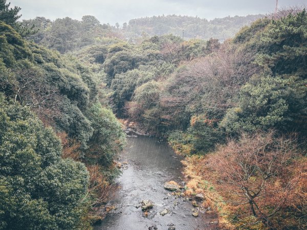 2026 偶來小路437公里認證3028718