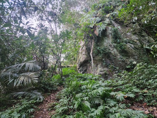 20241208上坪登五指山2683655