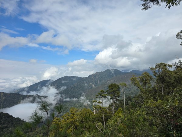 鳶嘴山+稍來神木2709900