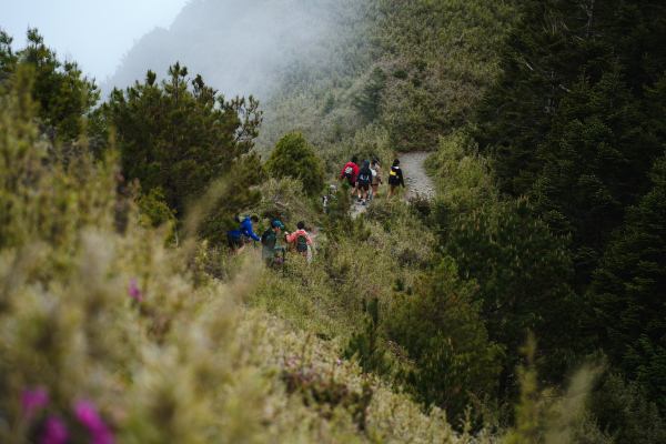 【新手專區】我是新手，我想去桃山！