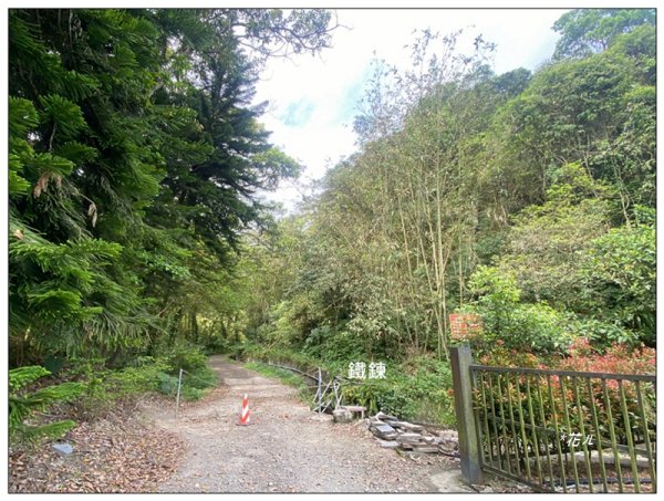 冷埤、粗坑山、血藤之旅3020356