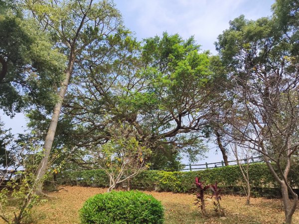 鐵砧山登山步道2931399