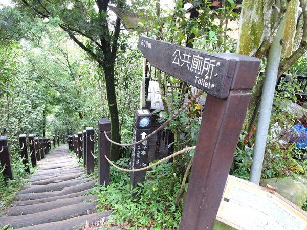 為雪山東峰特訓--大坑步道452438151