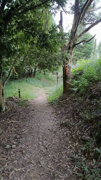 20251004 馬那邦山 - 珠湖 登山口2904777