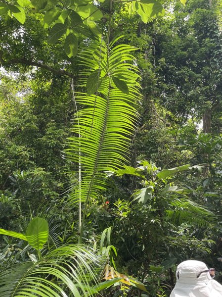 紅頭山大天池2893961