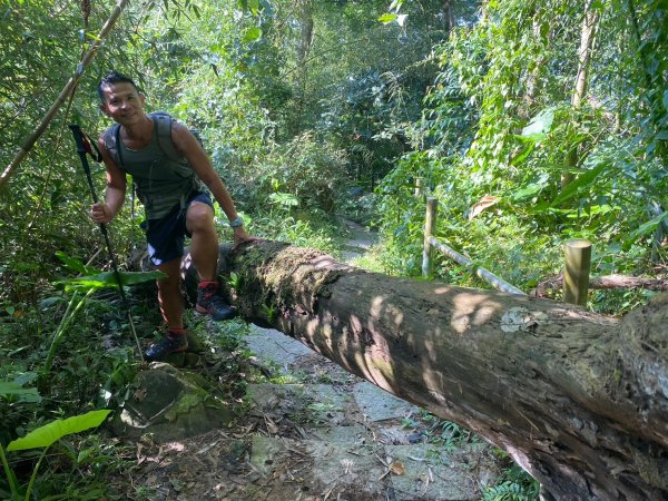 三寶山(烏心石山.鳩州嶺.尖凍山)步道【變成夢魘的大秘寶】2639865