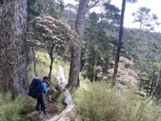 雪山西稜夢幻大景1392776