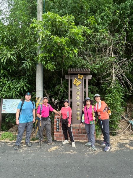 虎山岩區4條大嶺巷步道十二分埔山O繞逍遙輕鬆行3064045