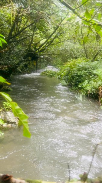 🌈7/20(日)梗枋古道接坪溪古道下石空古道✨FB：熊熊趴爬走🌈2842251