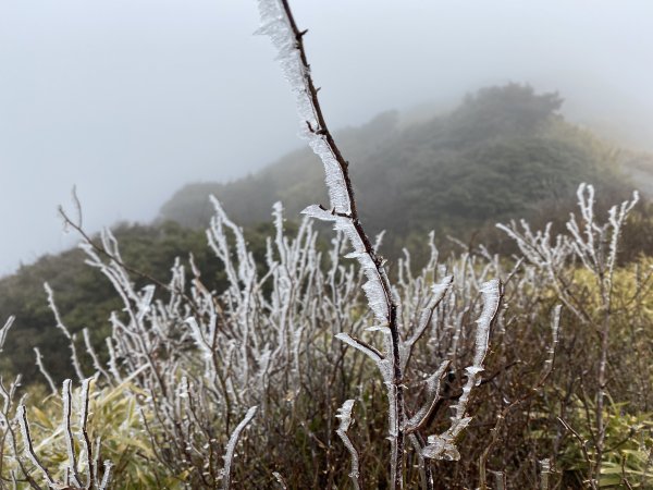 20200208合歡主峰2769531