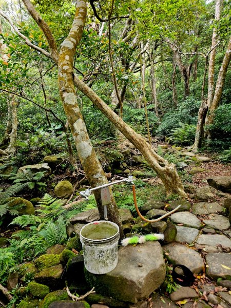 里龍山-小百岳#69-屏東縣獅子鄉2750525