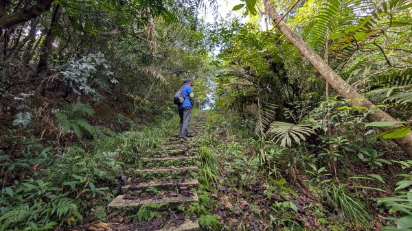 114.11.09草嶺古道芒花季之旅2932935