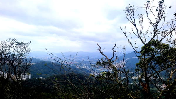 2025-0104 造鎮_五城山_天上山_三粒半_火焰山_慈惠堂_土城大潤發2682136