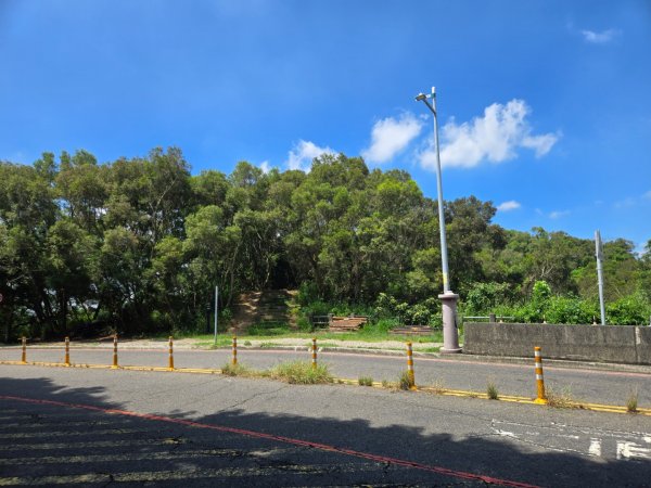 大肚環保公園3081845
