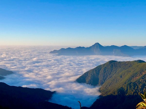 啟動高山度假模式～阿蓮五虎兄弟之馬博橫斷2073107