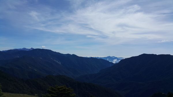 合歡東峰步道 2017 06 06133196