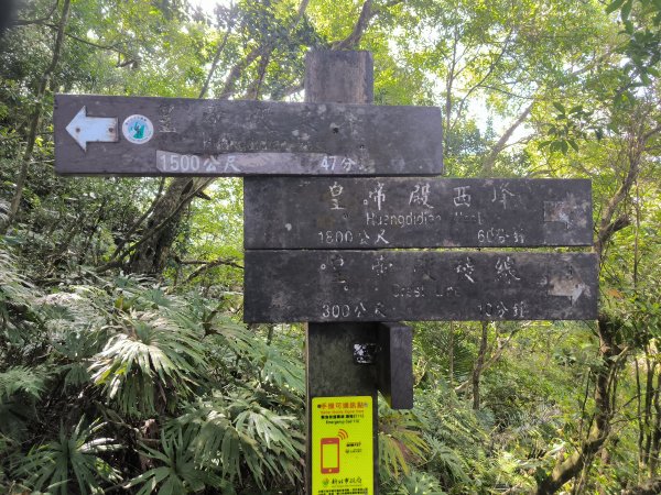 20251018微笑山線：【二格山系】皇帝殿稜線段2918633